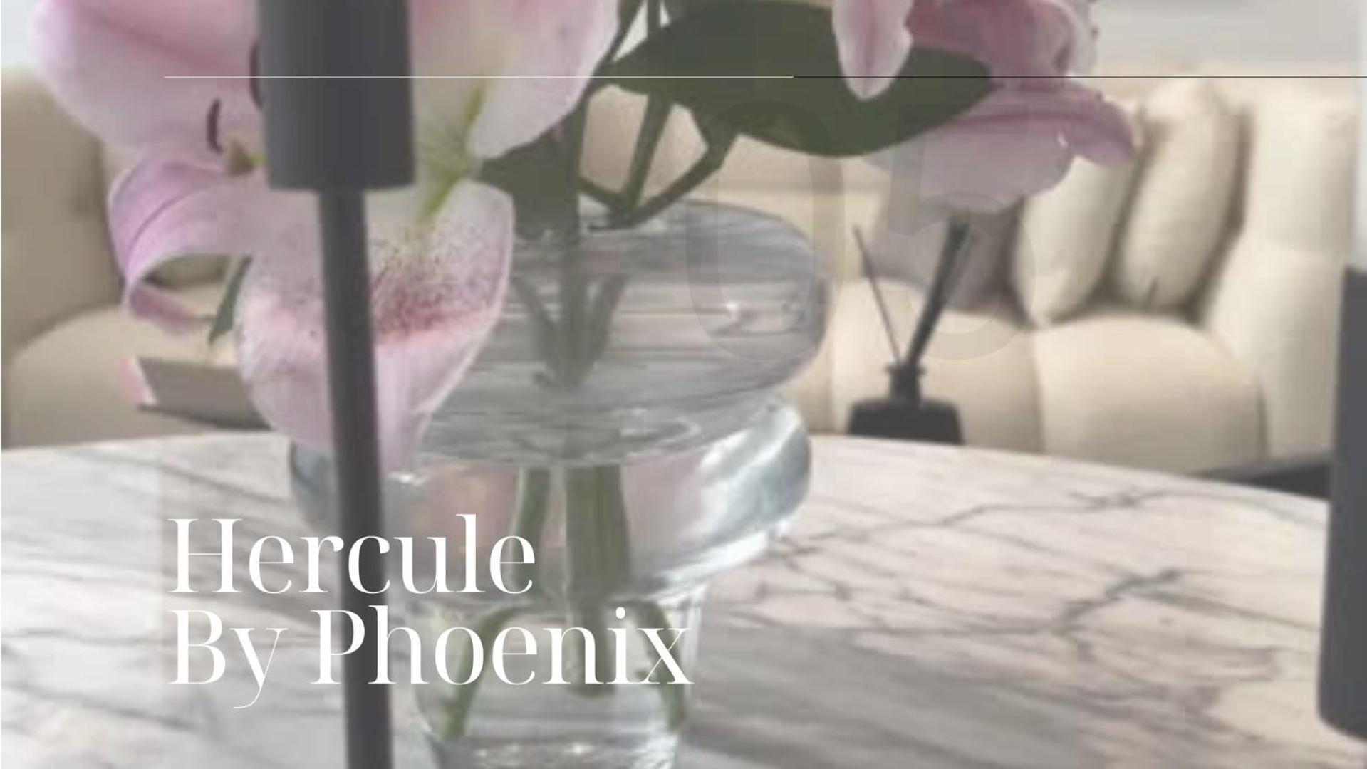 Phoenix Garden Apartment Mons Exterior photo